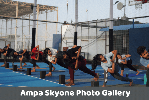 Top rated Online Yoga Classes for Seniors